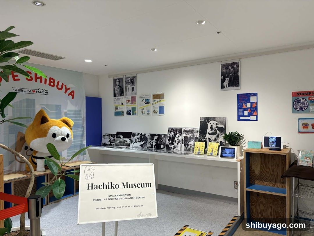 Hachiko Souvenir