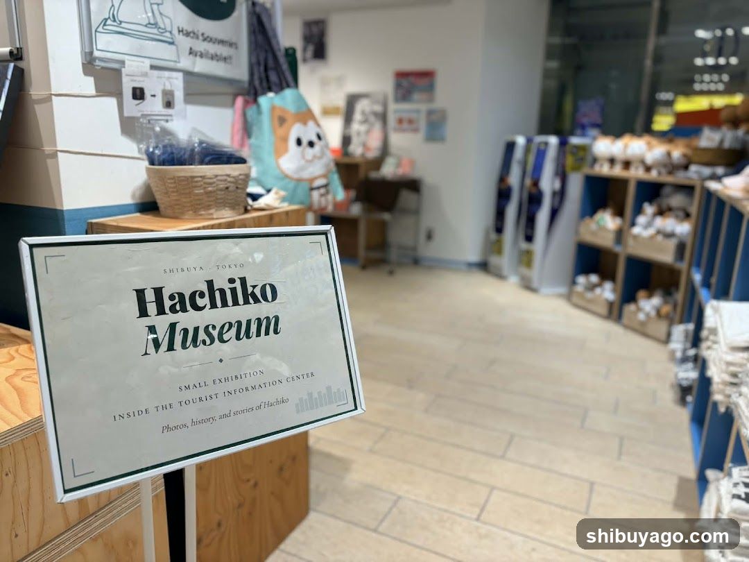 Hachiko Souvenir