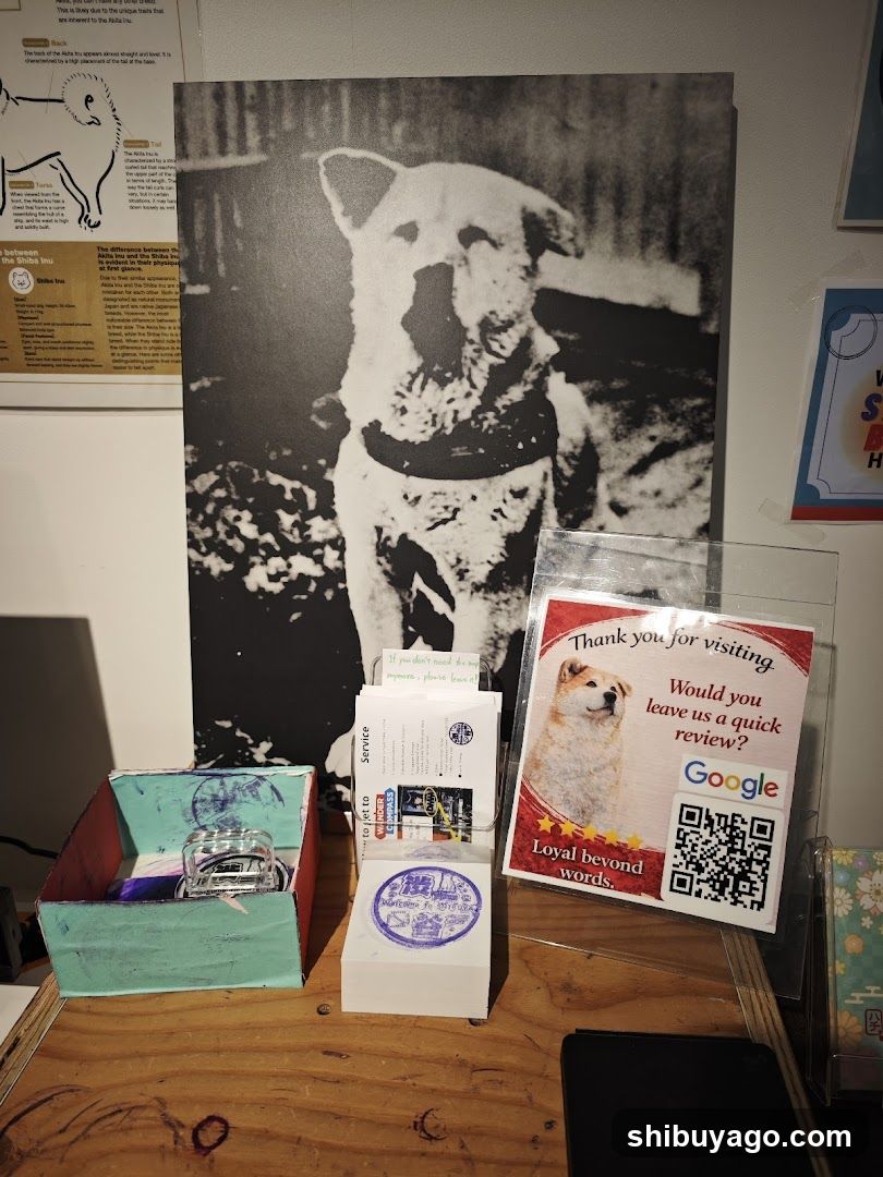 Dog-themed display with review card and postcards