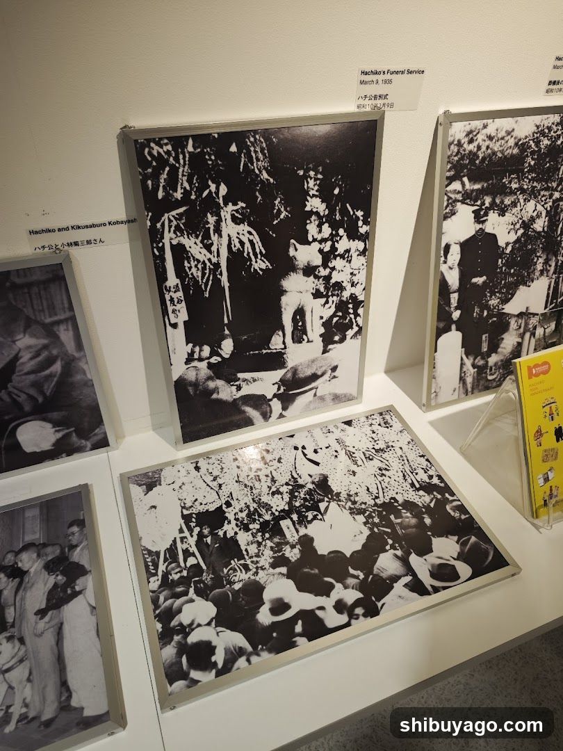 Exhibition Display with Historical Photographs