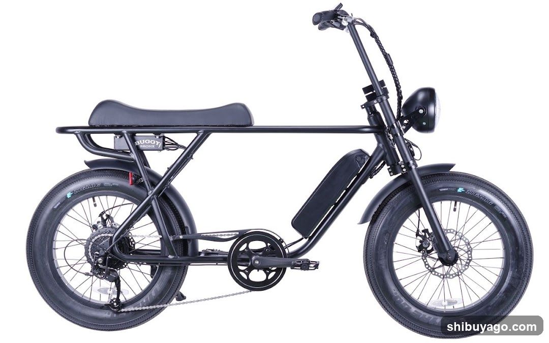 Electric Bike Side View