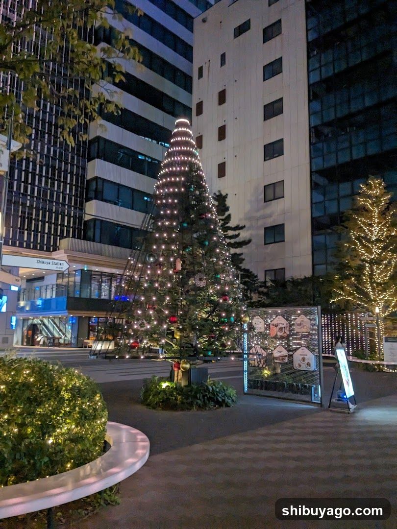 Christmas Tree at Night