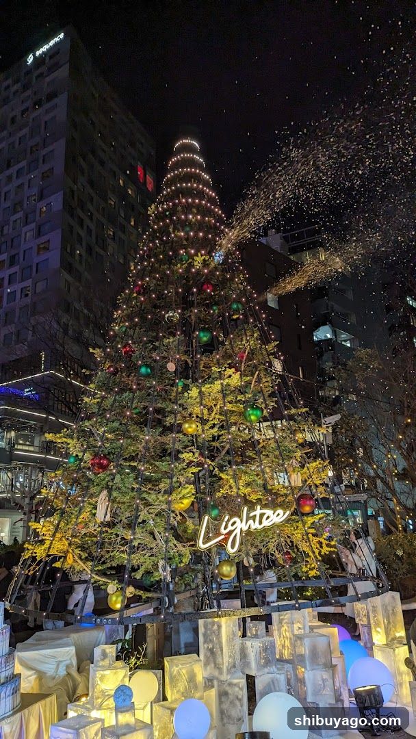 Christmas Tree Display with Lightee Signage