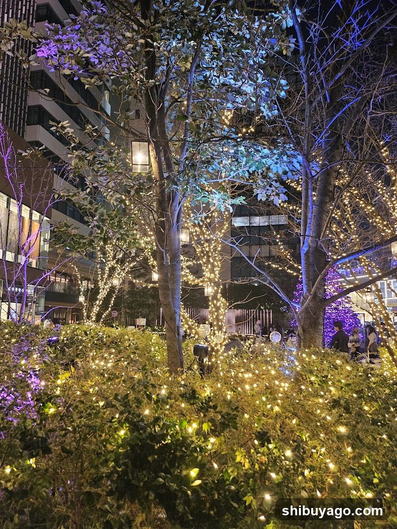 Nighttime Decorated Trees and Bushes