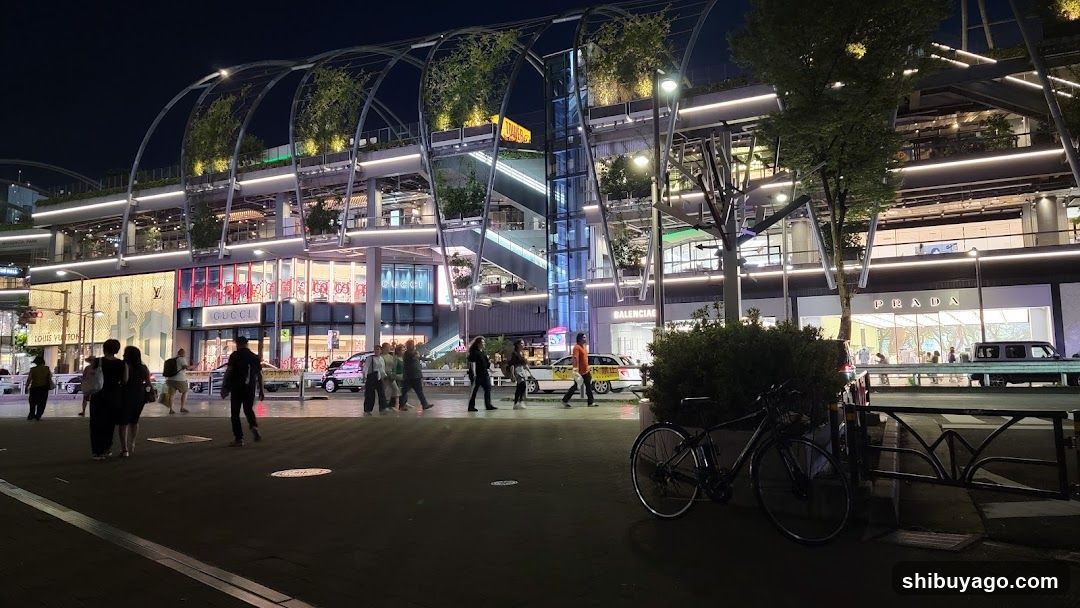 Nighttime Shopping District