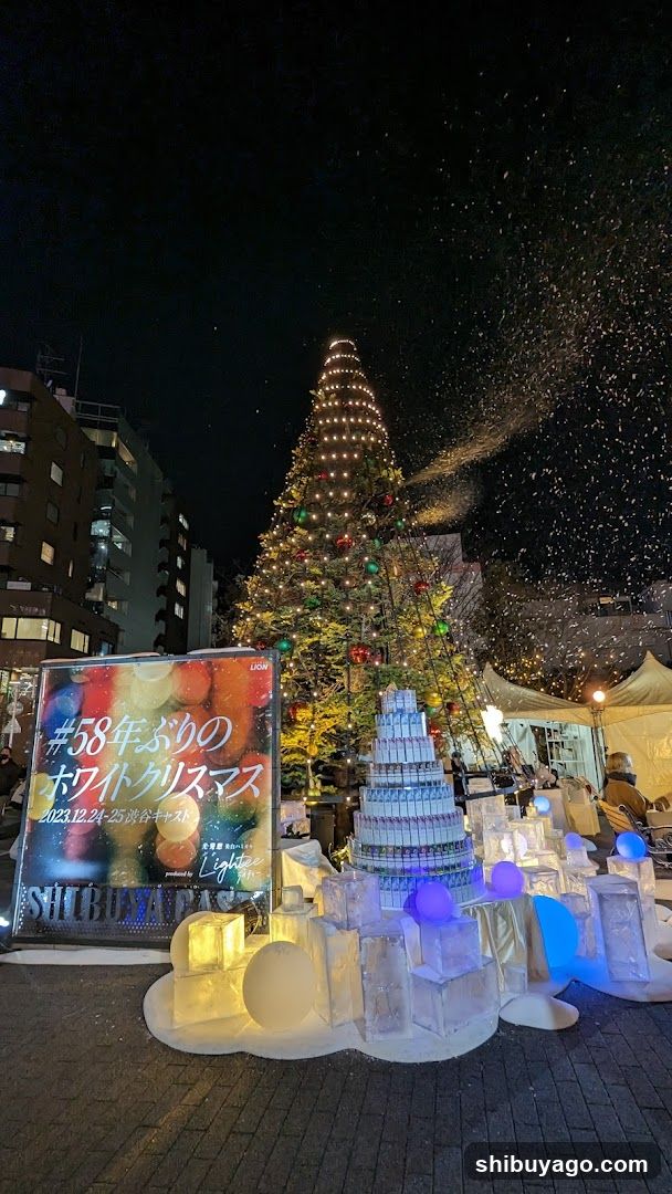 #58年ぶりのホワイトクリスマス