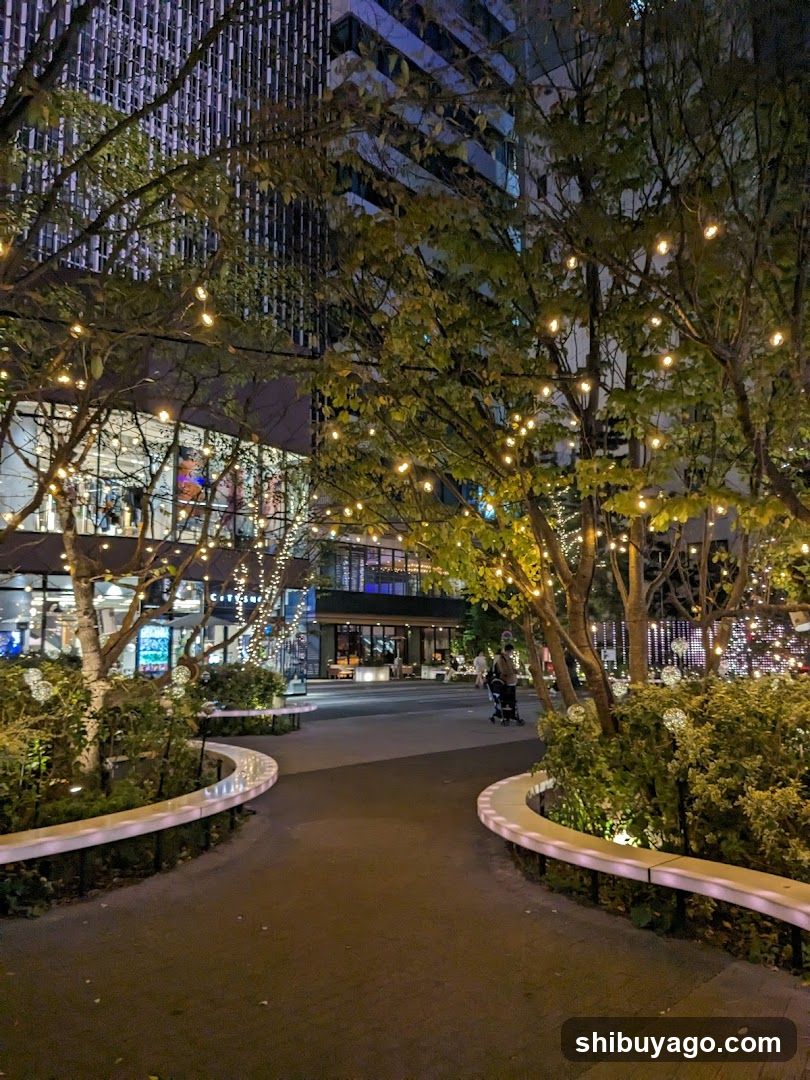 Nighttime Urban Park with String Lights
