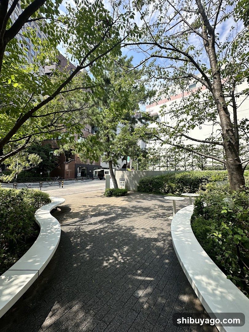 Urban Park Pathway with Trees and Benches