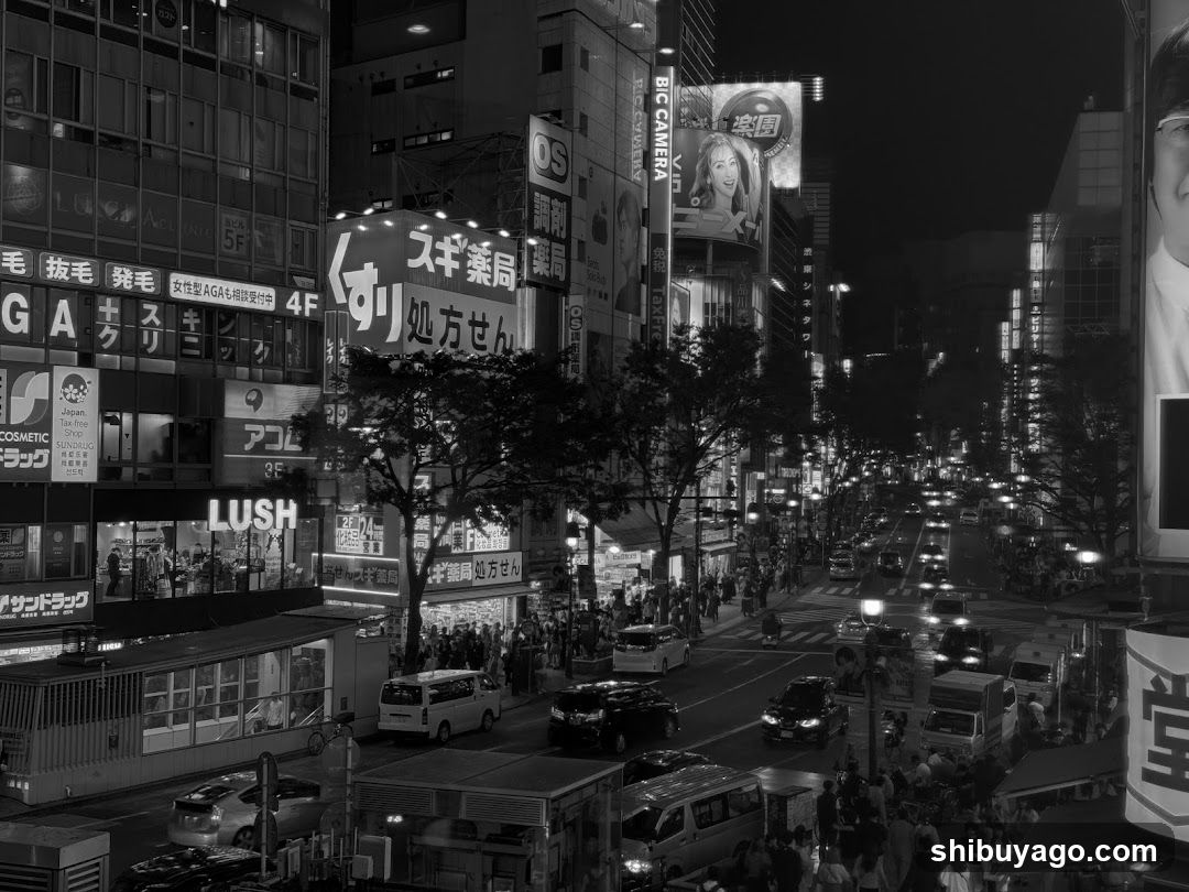 Night Street Scene with Shops and Traffic