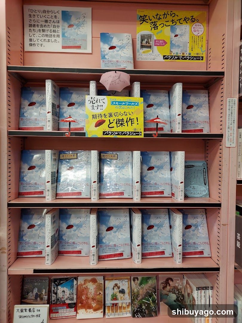 Book Display Shelf