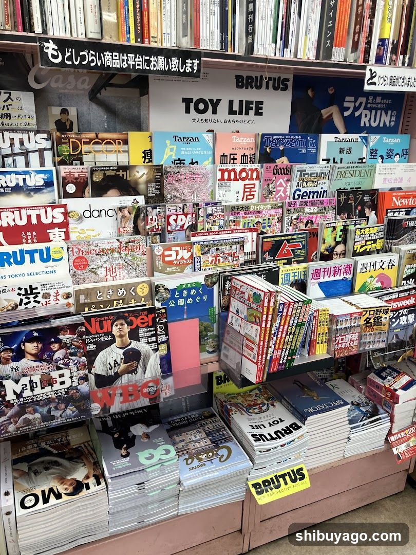 Magazine Display Shelf