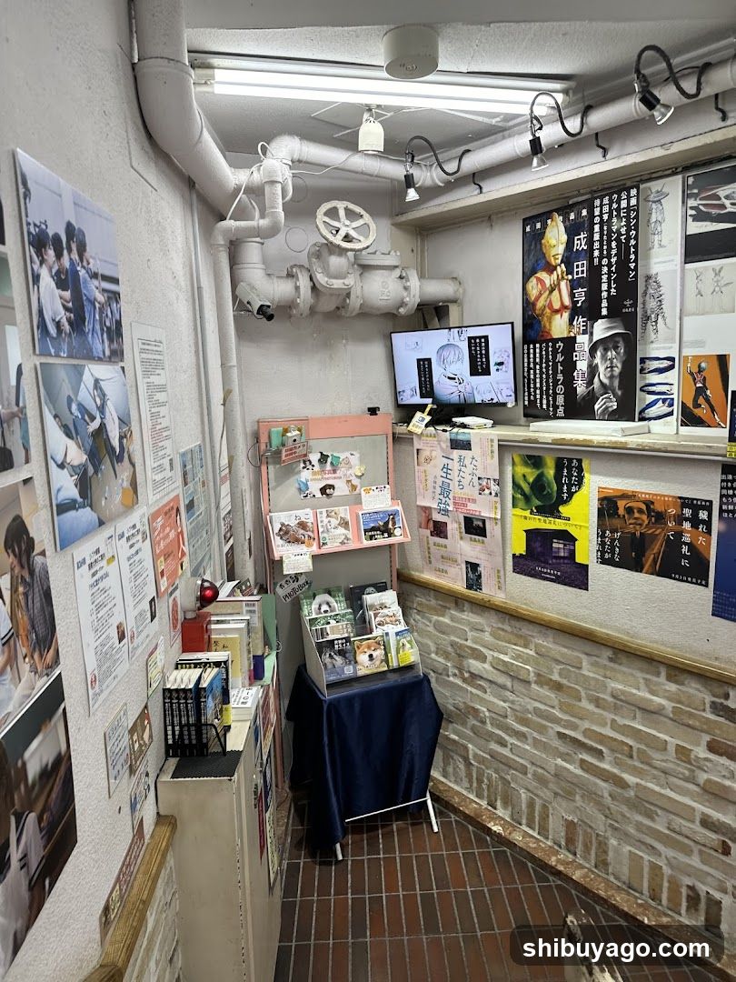 Exhibition or Shop Interior with Posters and Displays