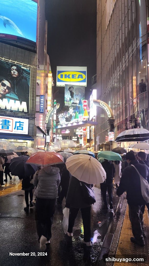 Rainy Night Street Scene with IKEA Signage