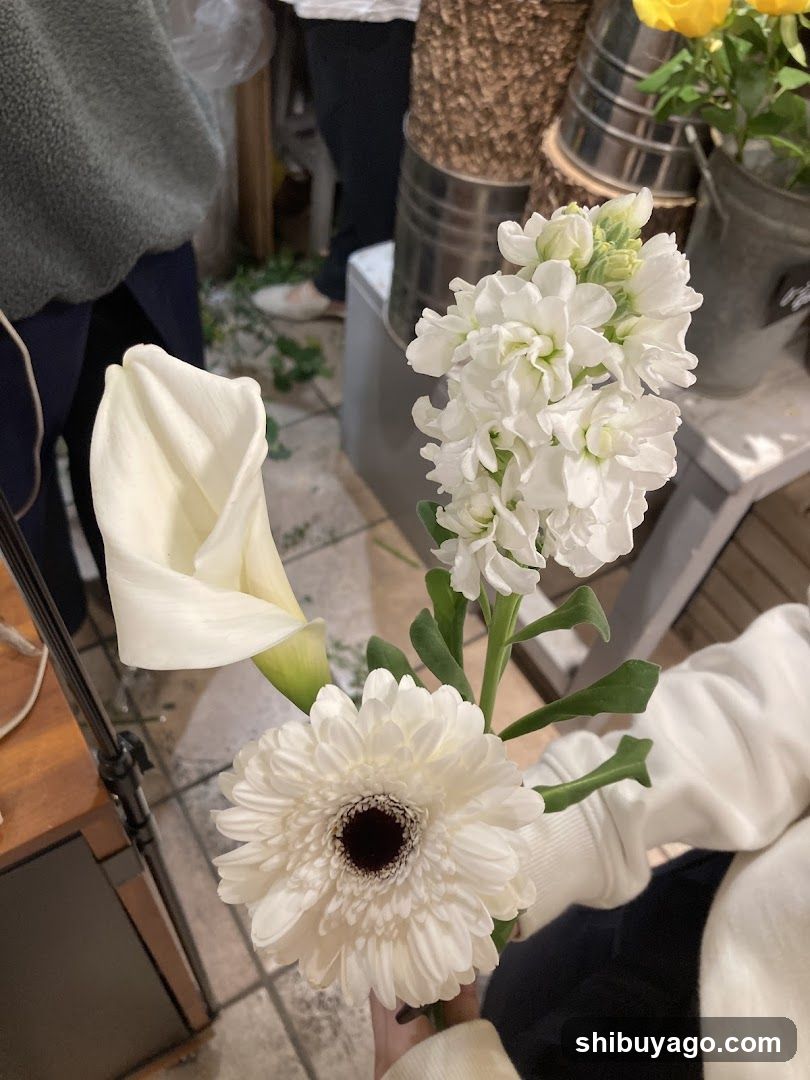 JEL FLOWER