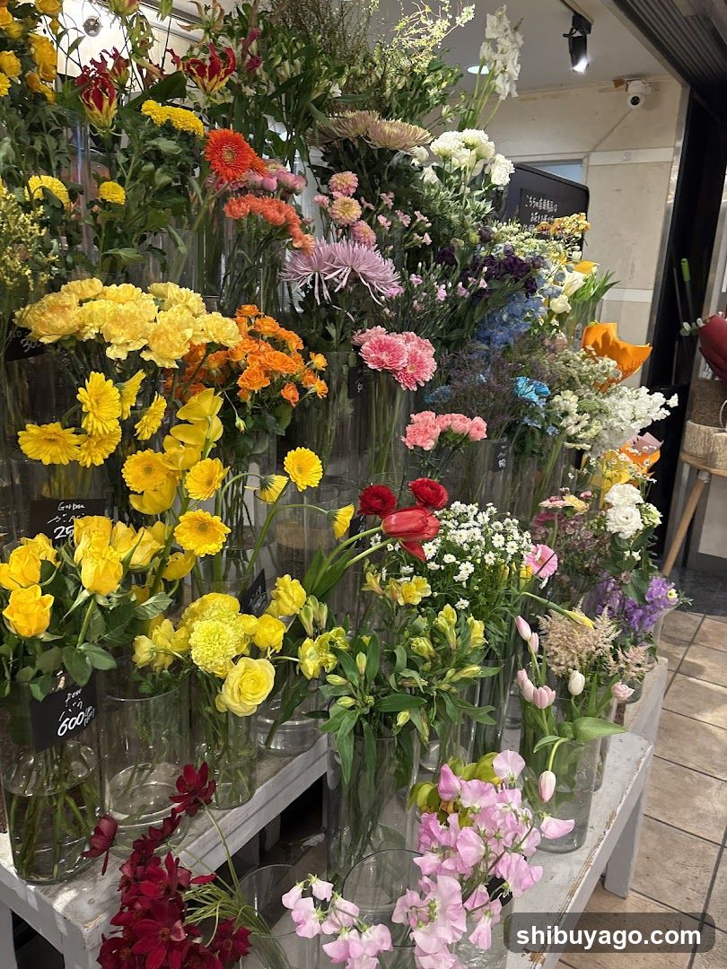JEL FLOWER