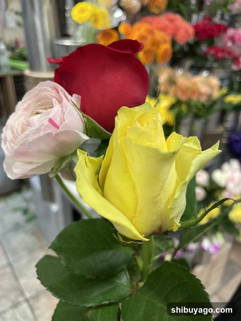 Flower Shop Interior