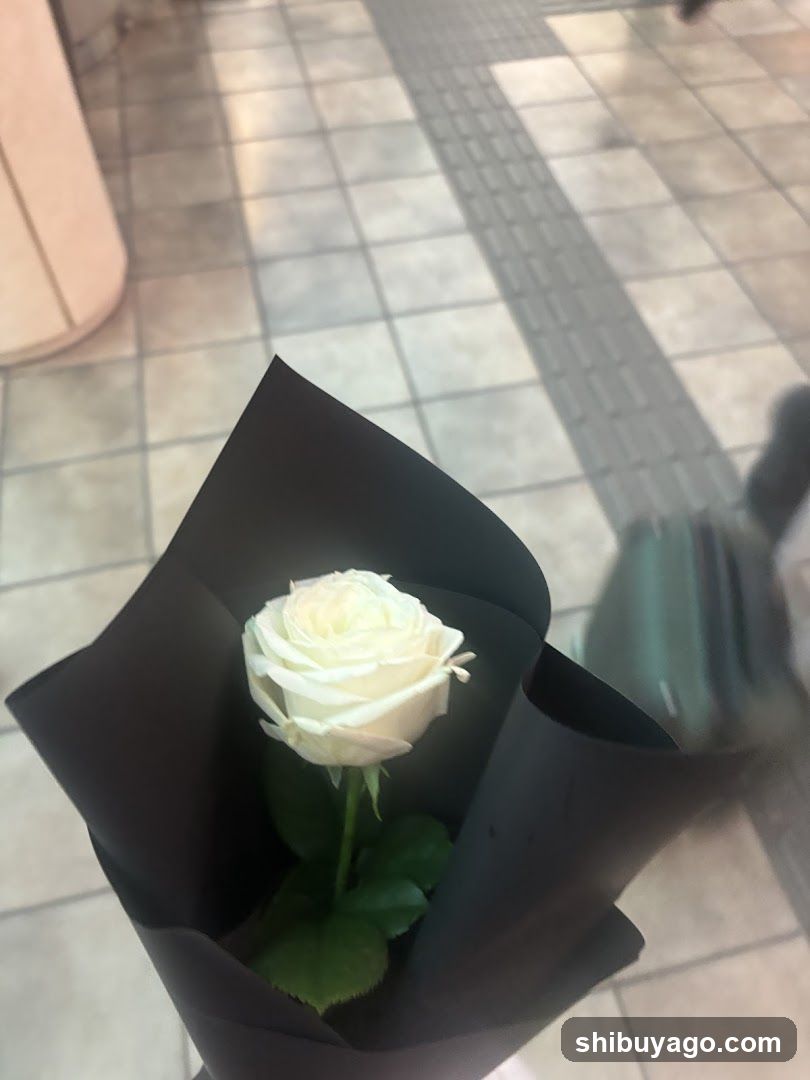 Single White Rose in Black Wrapping