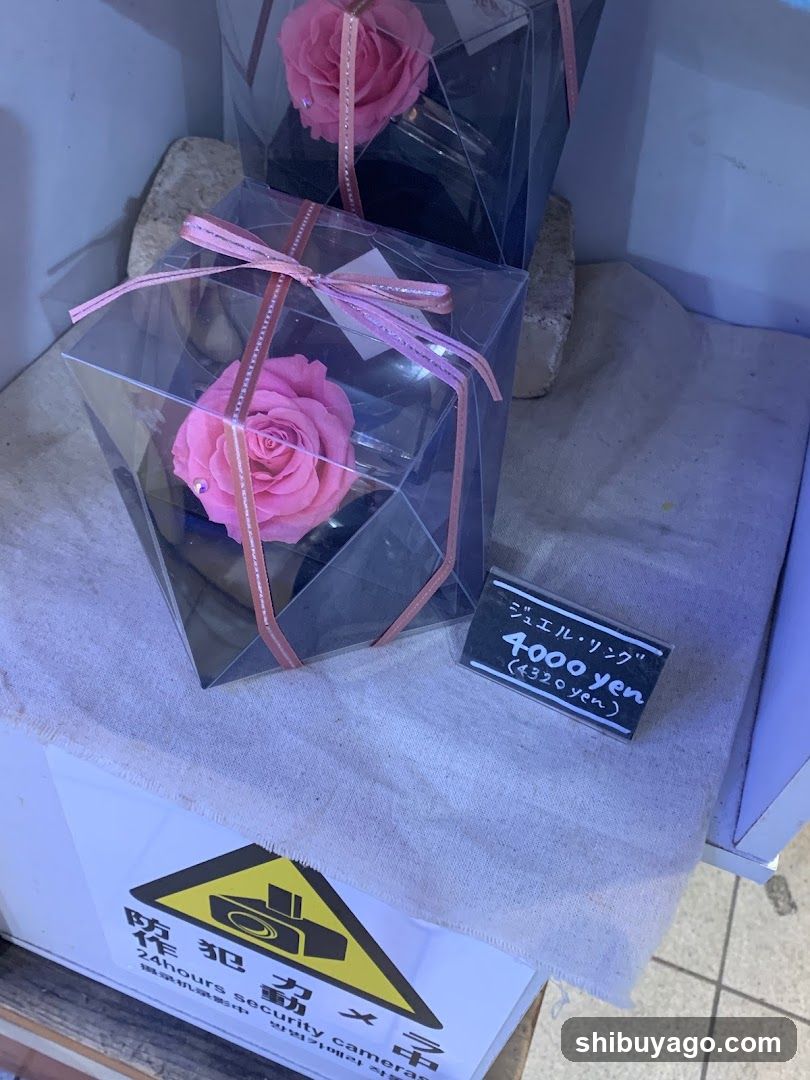 Pink Rose Display