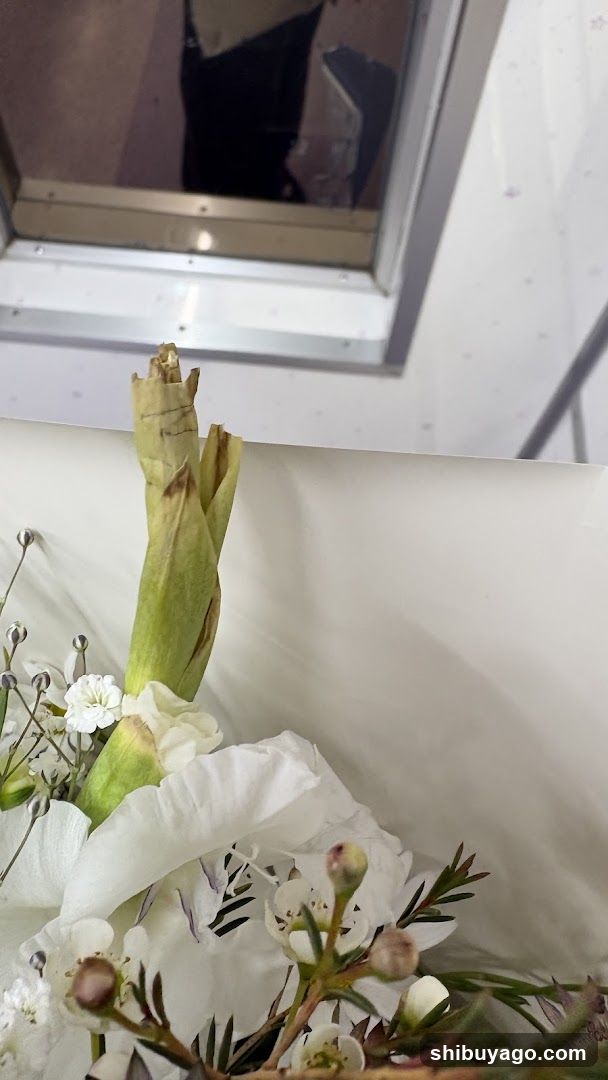 Flower Bouquet with White Flowers and Green Stems