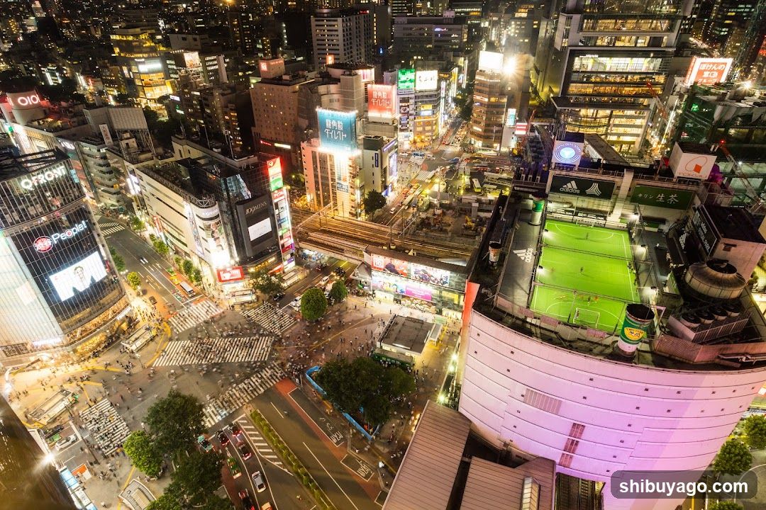 Night Cityscape with Rooftop Football Field