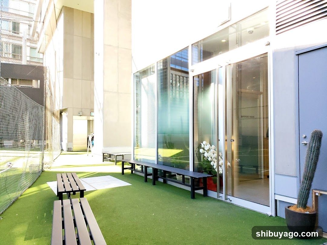 Outdoor Courtyard with Benches and Greenery