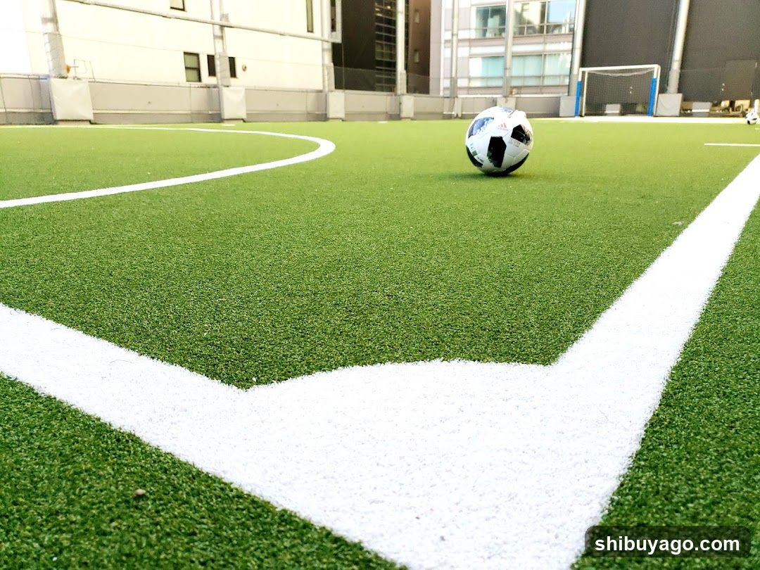 Soccer Field with Ball
