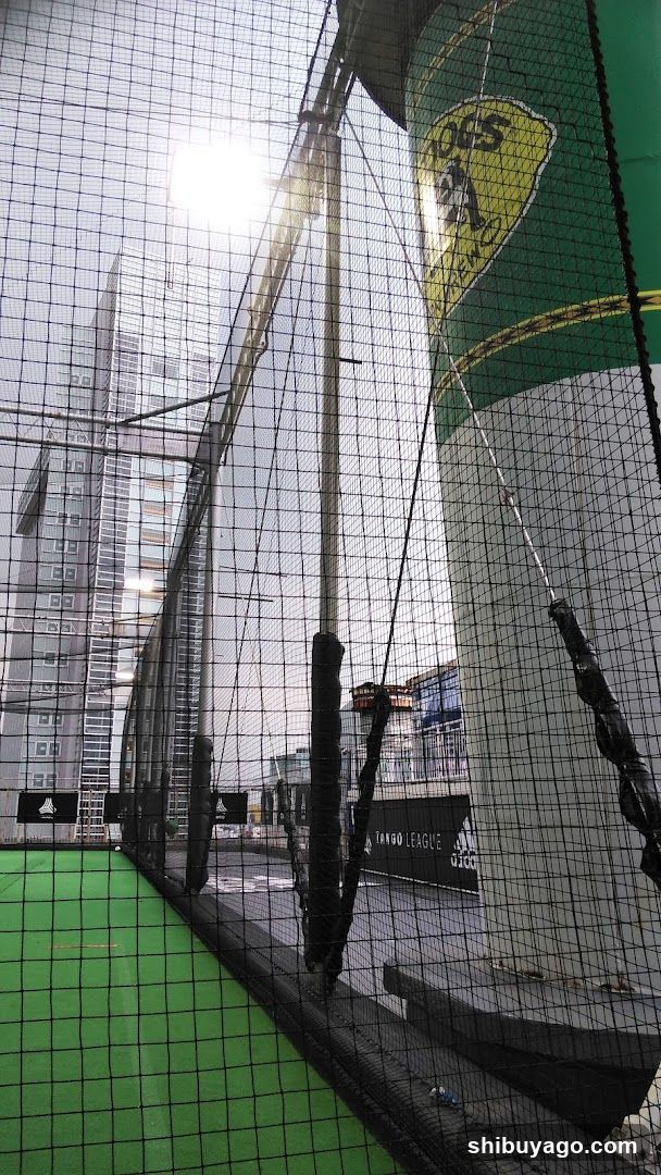 Sports Training Facility View Through Netting