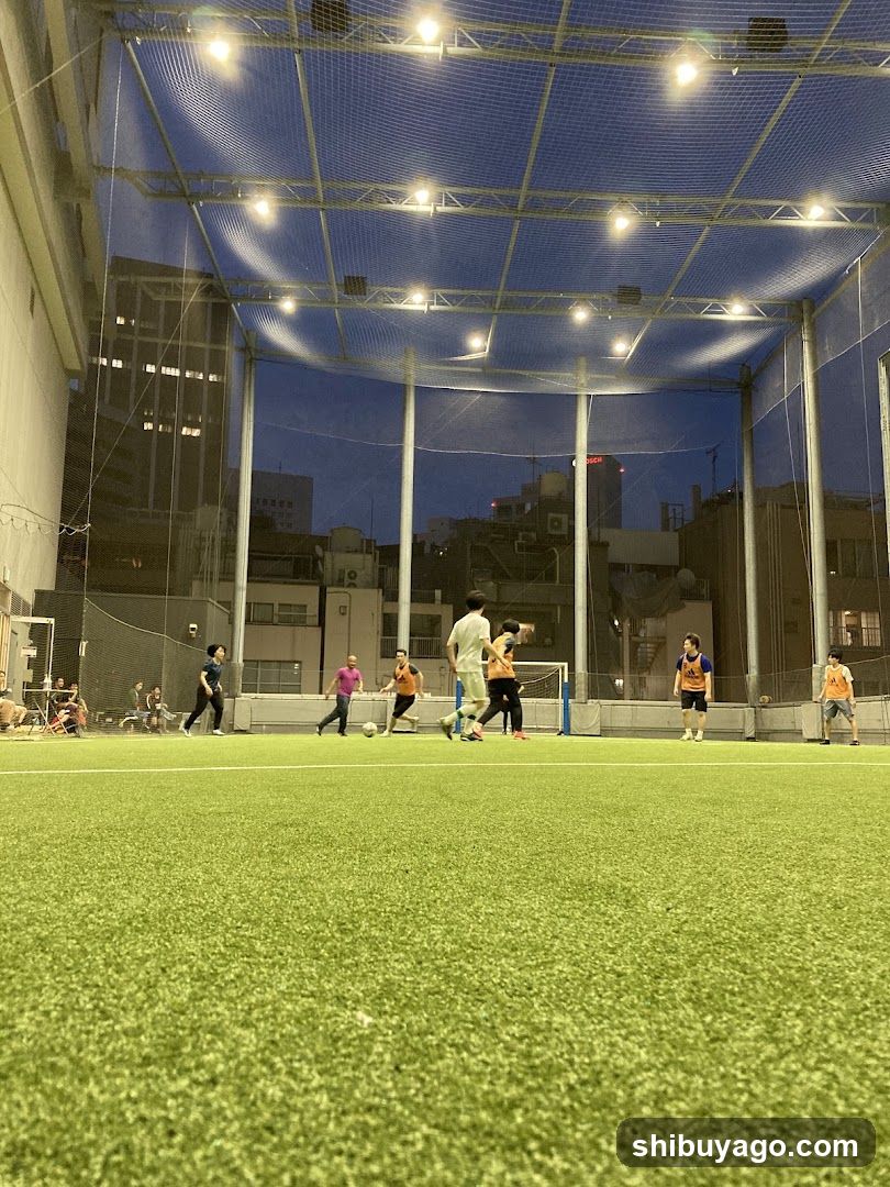 Indoor Soccer Field at Night