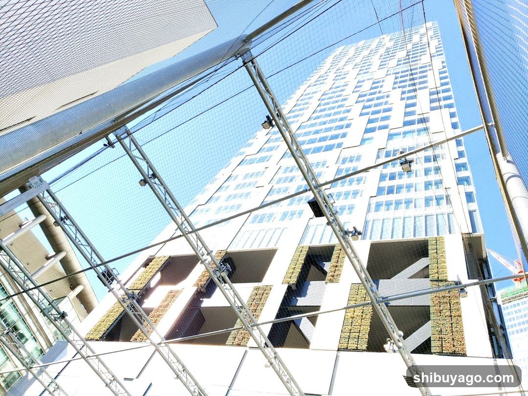 Skyscraper with scaffolding and netting