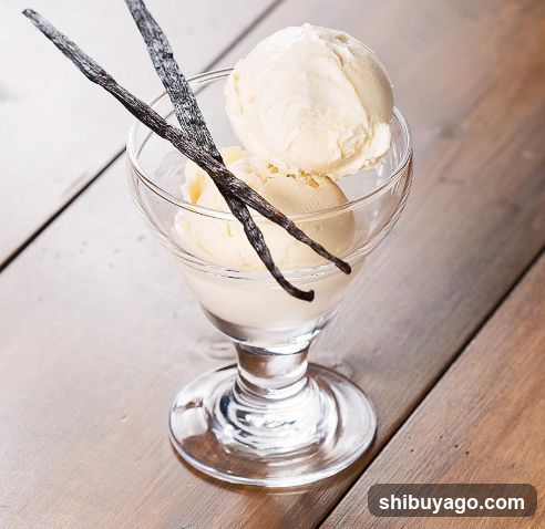 Vanilla Ice Cream with Vanilla Beans