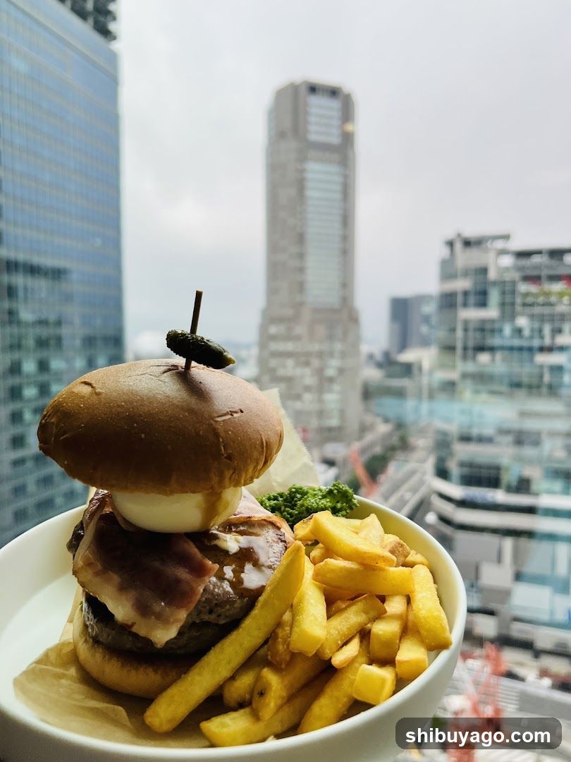 Burger and Fries with City View