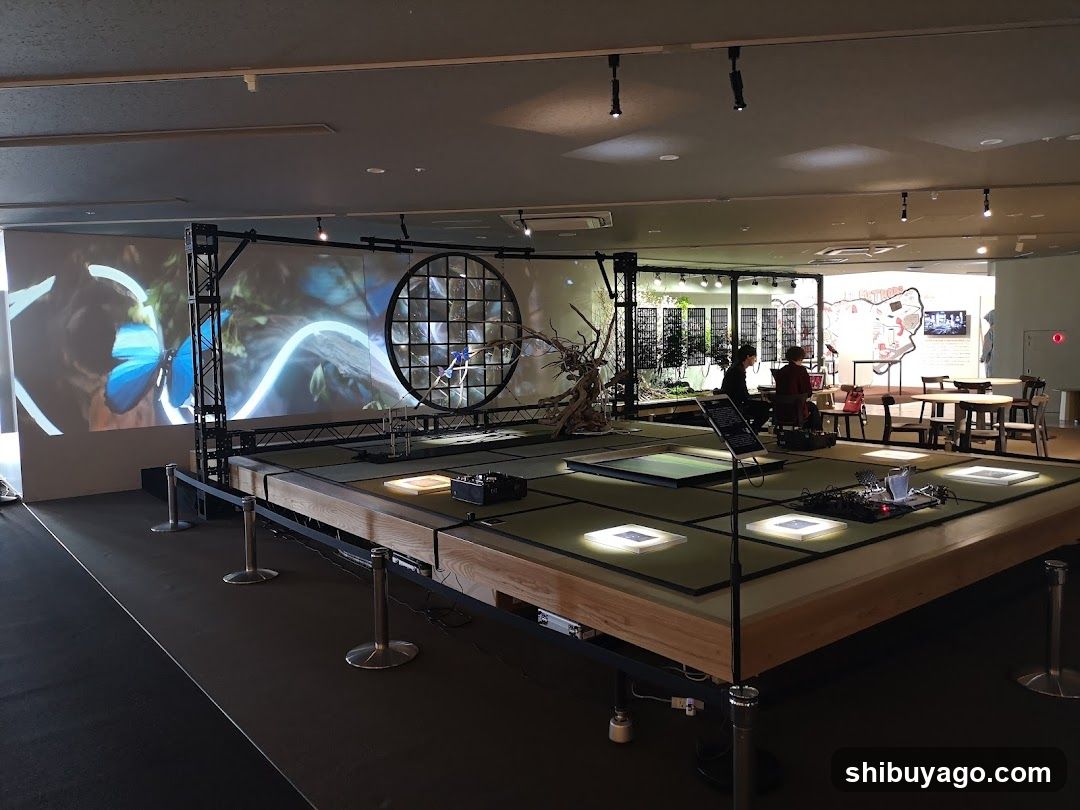 Interactive Art Installation with Projection Mapping