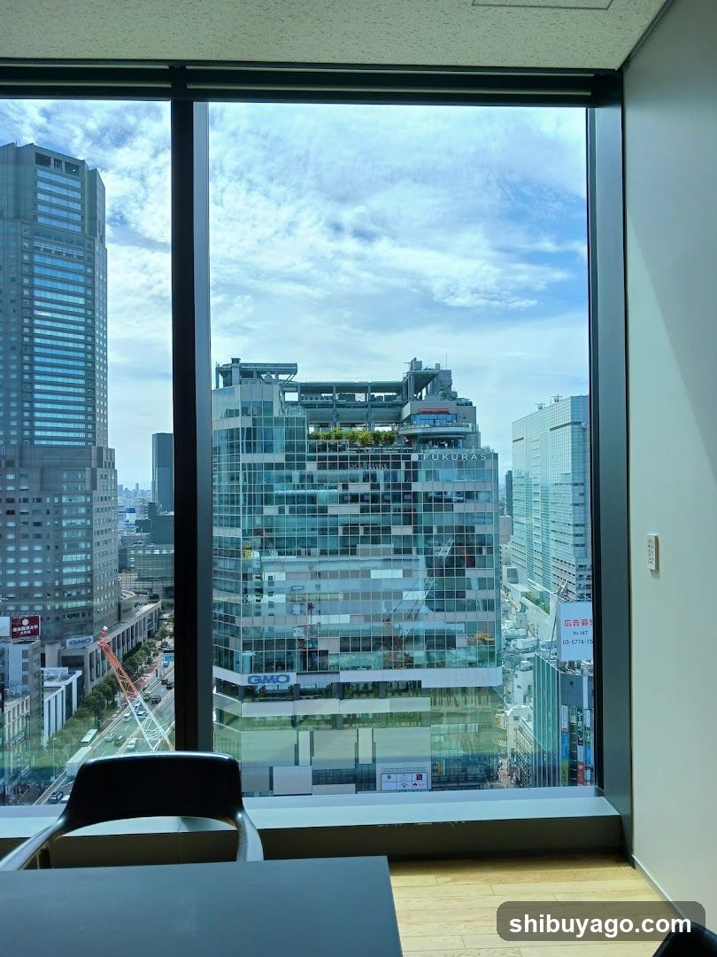 Cityscape View from Office Window