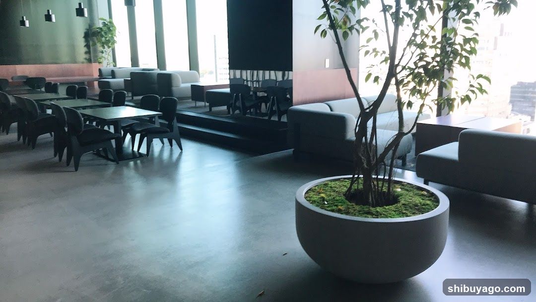 Modern Interior Lounge