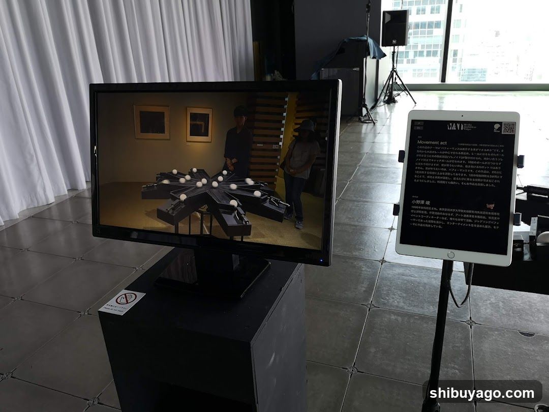 Art Exhibition Display