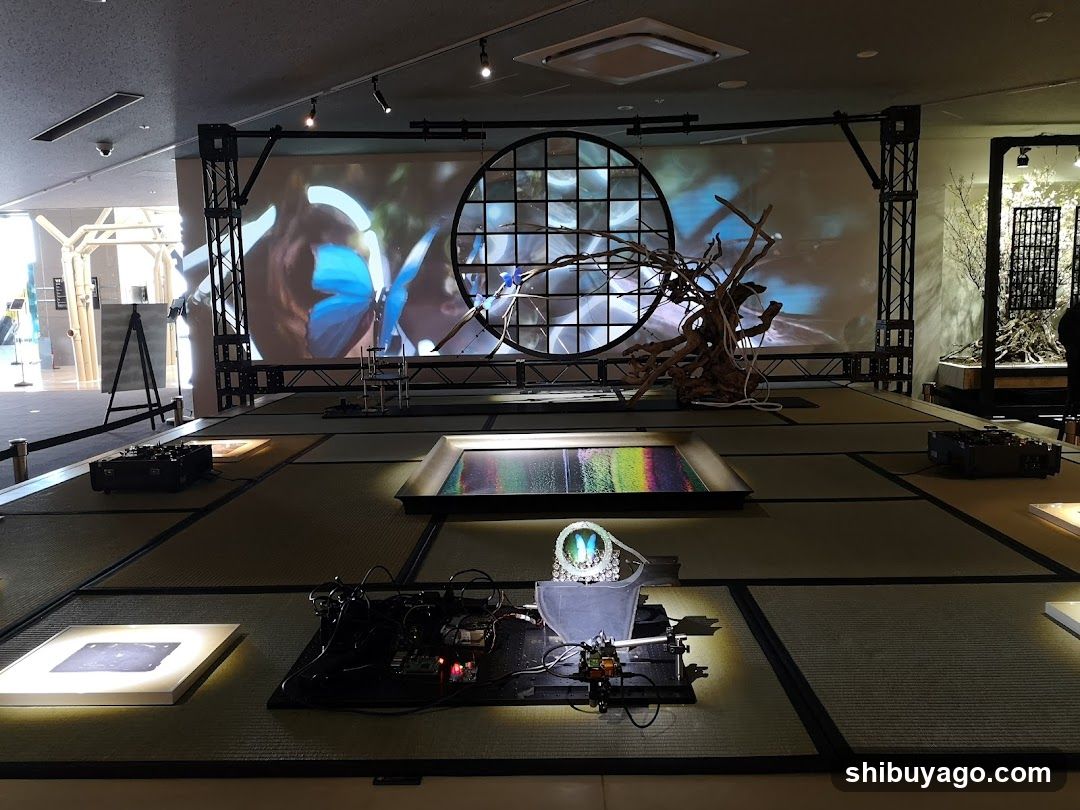 Interactive Art Installation with Projection Mapping