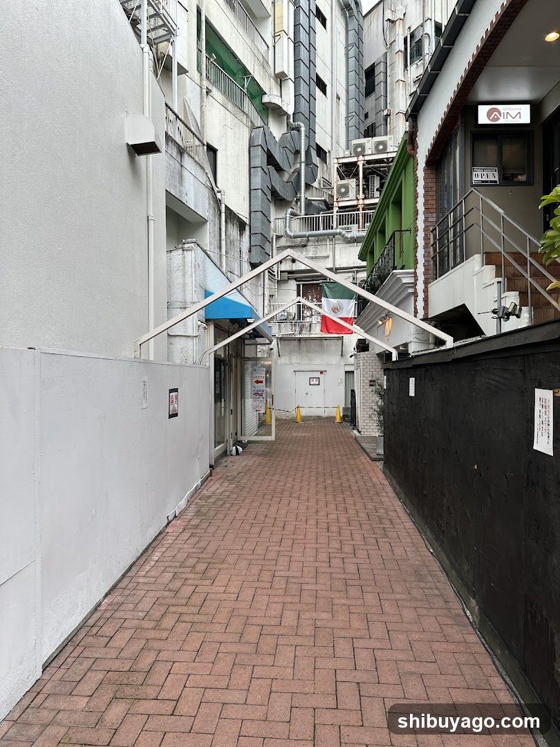 Urban Alleyway with Brick Paving