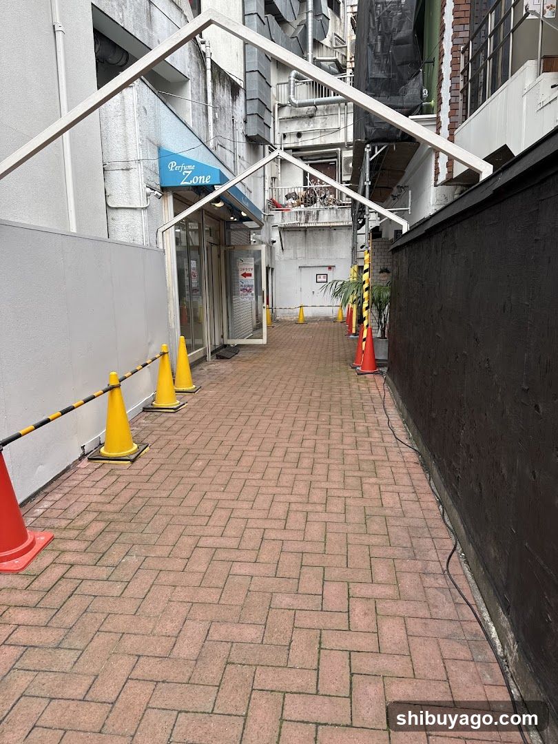Alleyway with Shop Entrance