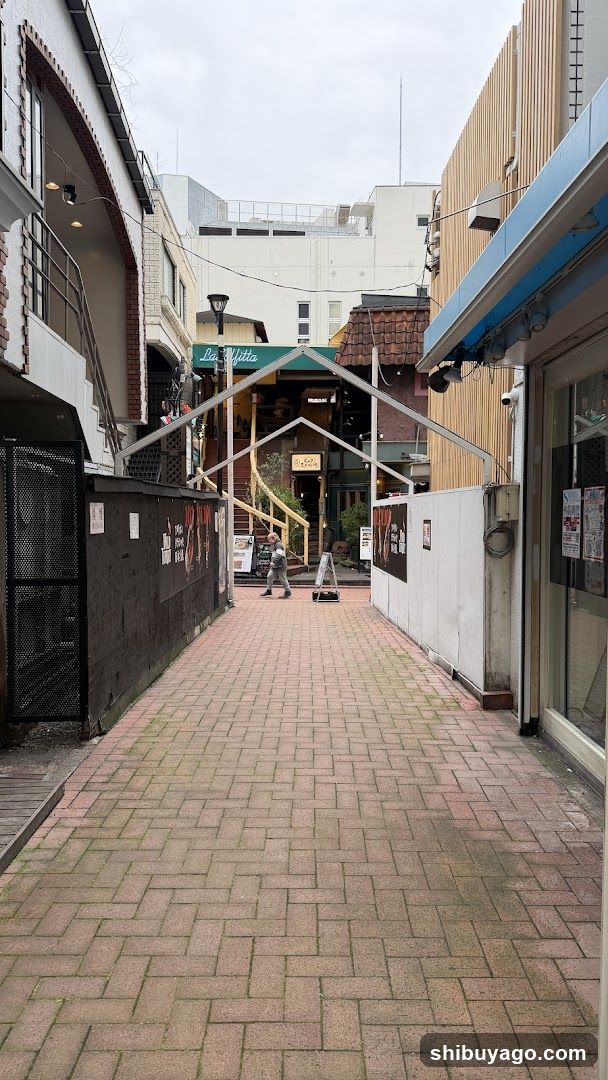 Alleyway with Shops and Buildings