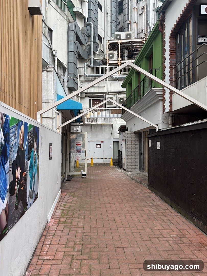 Urban Alleyway with Brick Paving