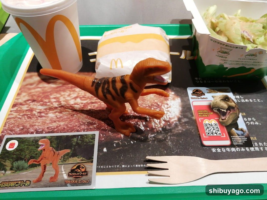 McDonald's Meal with Toy and Card