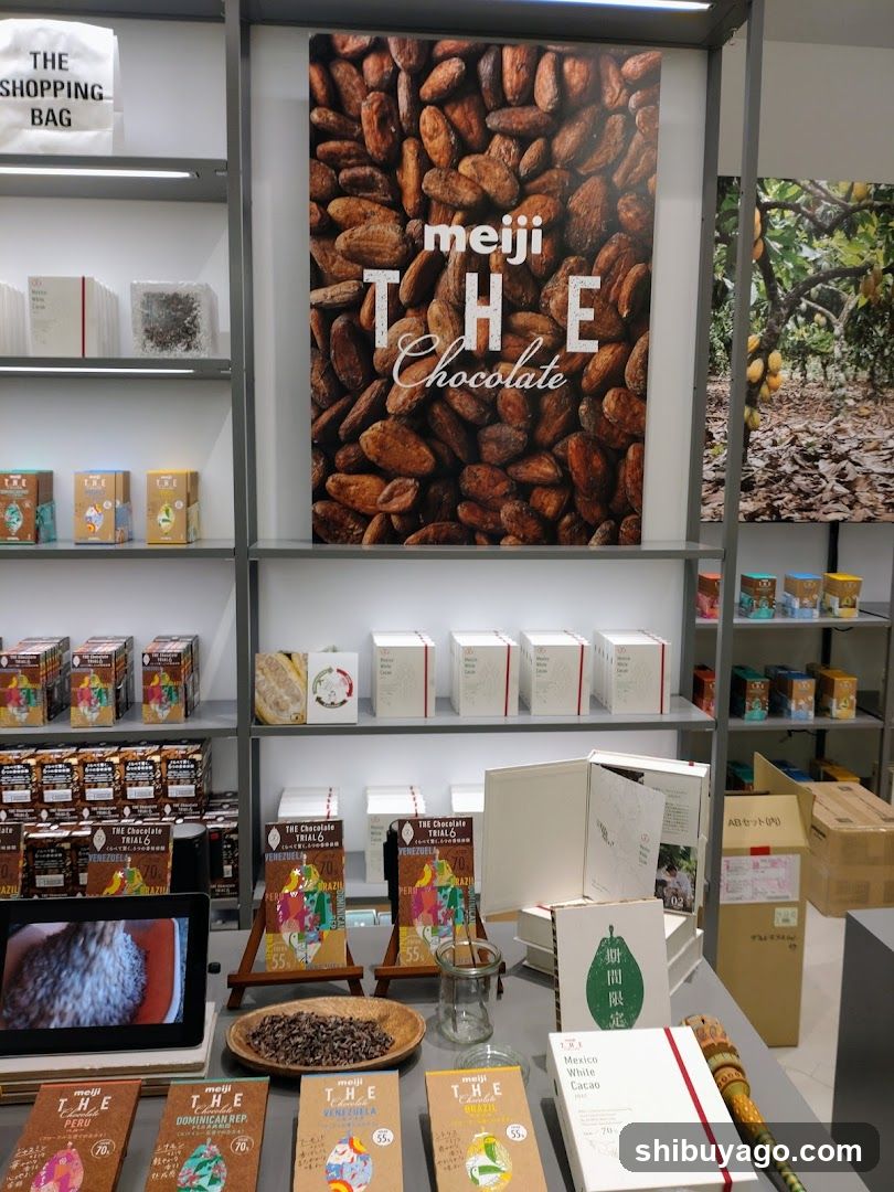 THE SHOP
