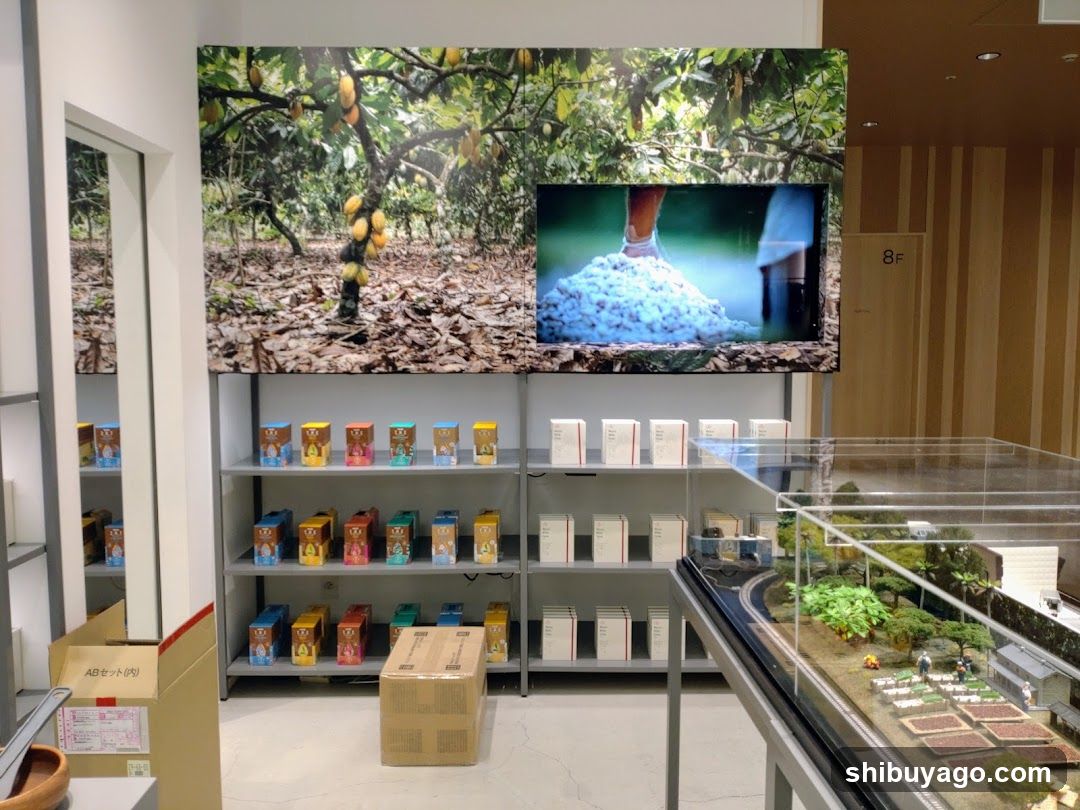 Product Display and Model Scene