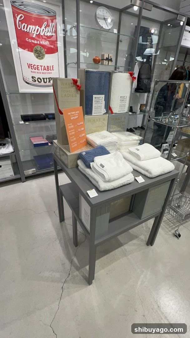 Campbell Soup Art Display in Store