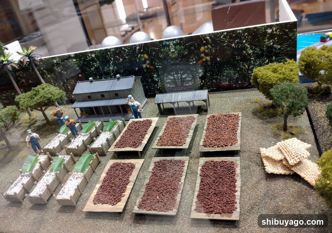 Dried Fruit Display Scene