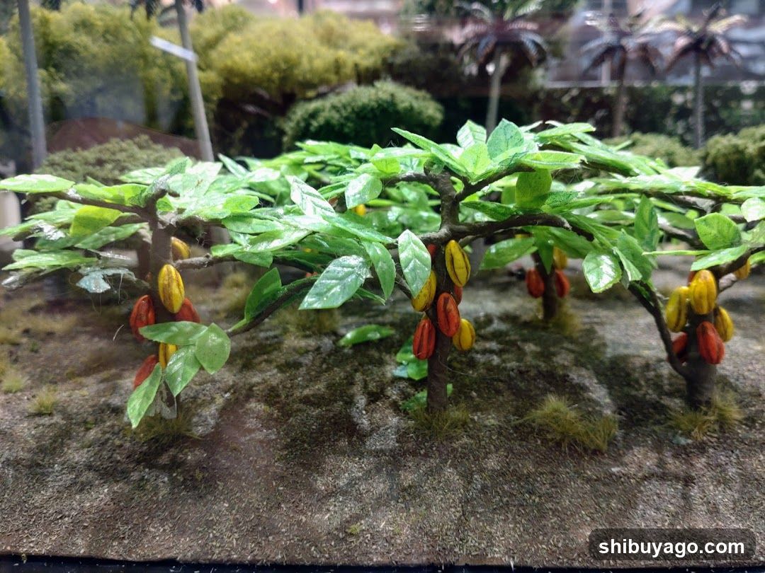 Cacao Pod Display