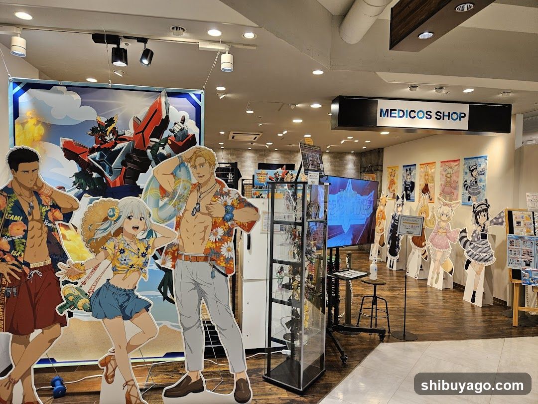 Anime Merchandise Display