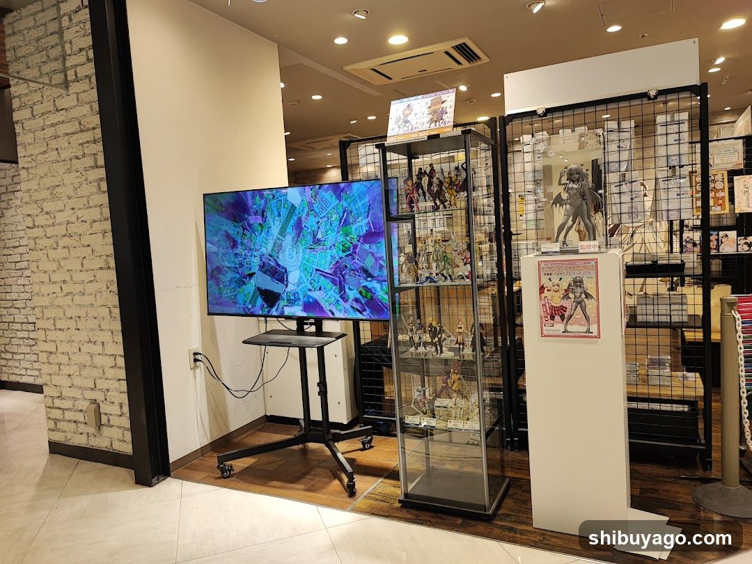 Anime Merchandise Display