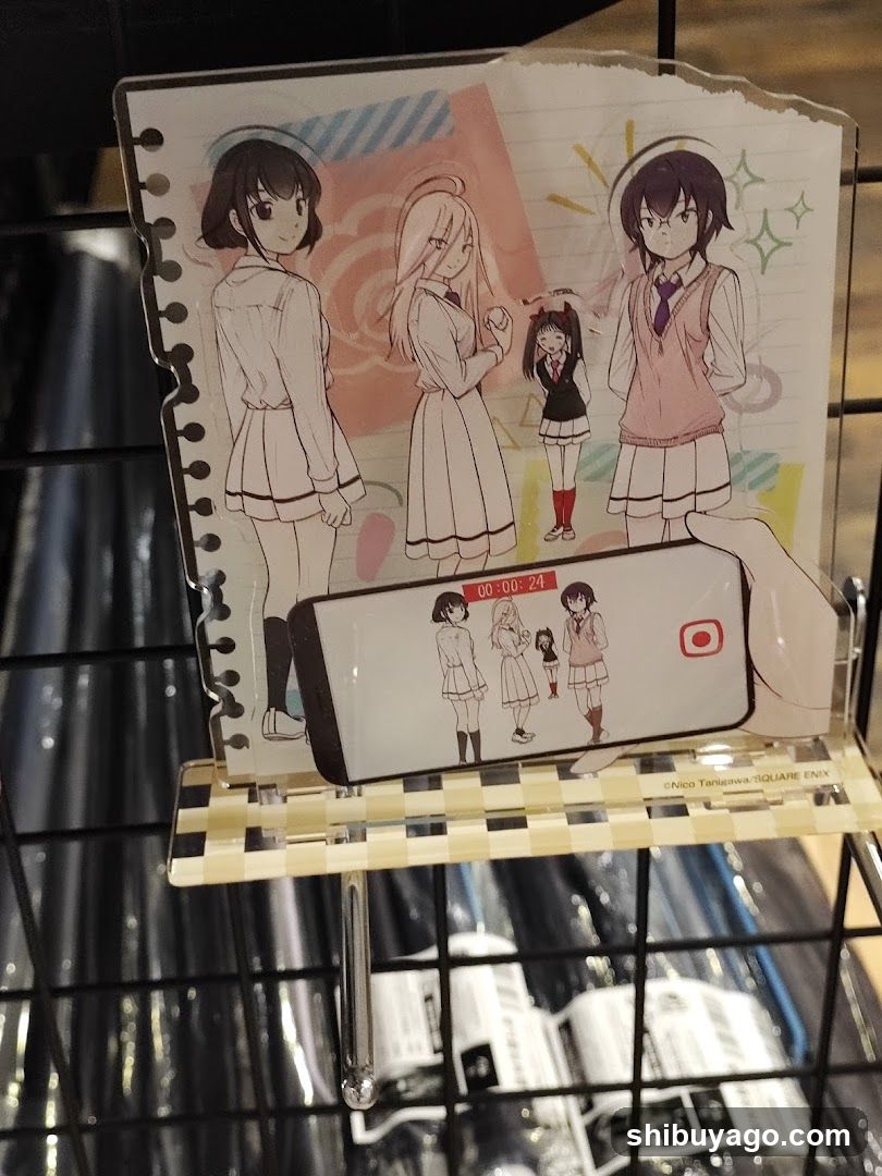 Anime Merchandise Display