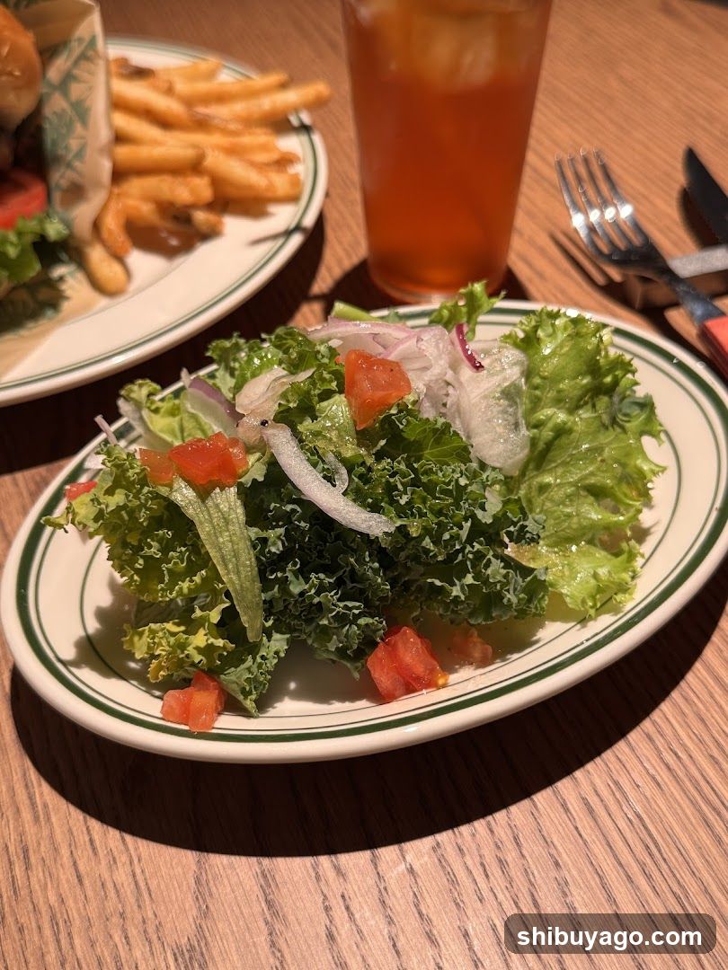 Salad and Fries at Restaurant